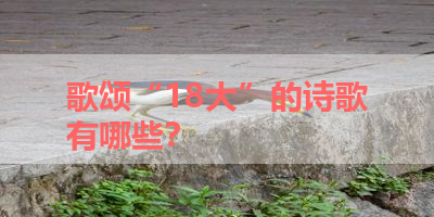 歌颂“18大”的诗歌有哪些？ 