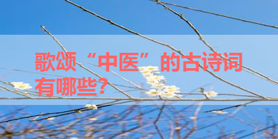 歌颂“中医”的古诗词有哪些？ 