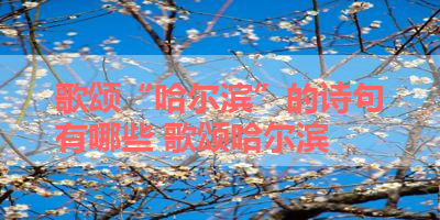 歌颂“哈尔滨”的诗句有哪些 歌颂哈尔滨