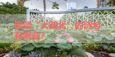 歌颂“大西北”的诗句有哪些？ 