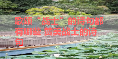 歌颂“战士”的诗句都有哪些 赞美战士的诗句