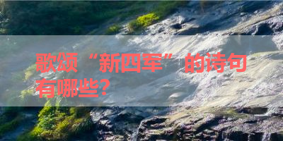 歌颂“新四军”的诗句有哪些？ 
