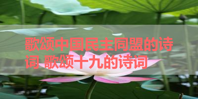歌颂中国民主同盟的诗词 歌颂十九的诗词