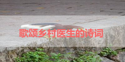 歌颂乡村医生的诗词 