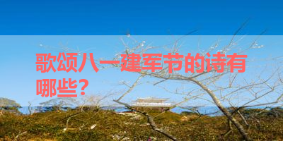 歌颂八一建军节的诗有哪些？ 
