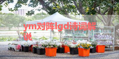 ym对阵lgd诗词解说 