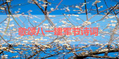歌颂八一建军节诗词 