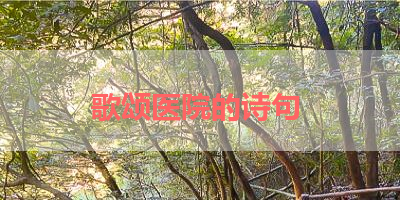 歌颂医院的诗句 