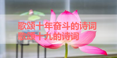 歌颂十年奋斗的诗词 歌颂十九的诗词