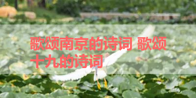 歌颂南京的诗词 歌颂十九的诗词
