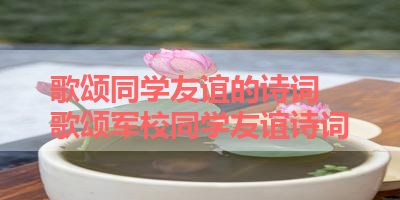 歌颂同学友谊的诗词 歌颂军校同学友谊诗词