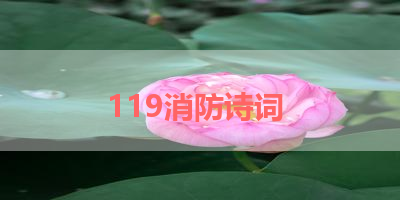 119消防诗词 