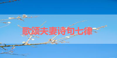 歌颂夫妻诗句七律 