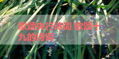歌颂央行诗词 歌颂十九的诗词