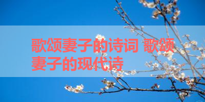 歌颂妻子的诗词 歌颂妻子的现代诗