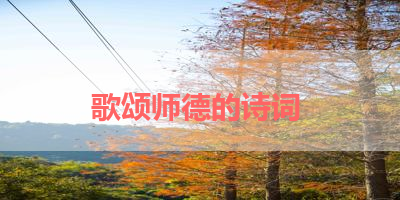 歌颂师德的诗词 