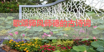 歌颂师风师德的古诗词 