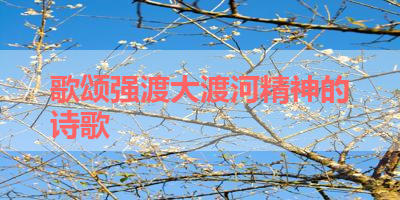 歌颂强渡大渡河精神的诗歌 