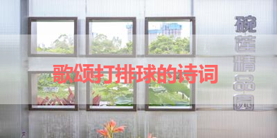 歌颂打排球的诗词 