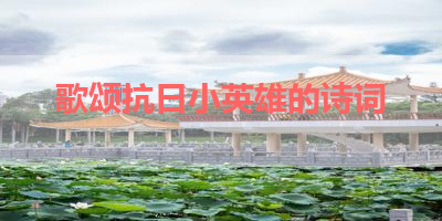歌颂抗日小英雄的诗词 