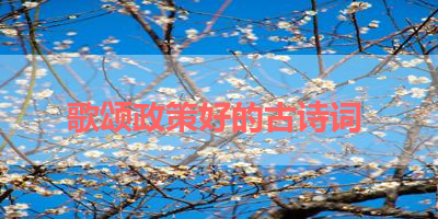 歌颂政策好的古诗词 