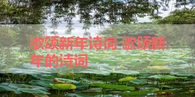 歌颂新年诗词 歌颂新年的诗词 