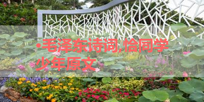 ·毛泽东诗词,恰同学少年原文 