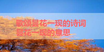 歌颂昙花一现的诗词 昙花一现的意思