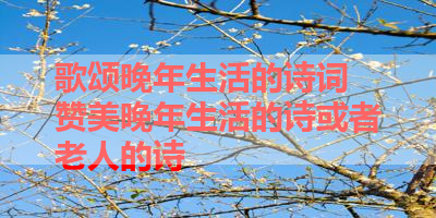歌颂晚年生活的诗词 赞美晚年生活的诗或者老人的诗 