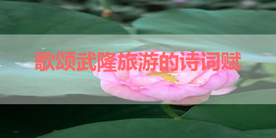 歌颂武隆旅游的诗词赋 