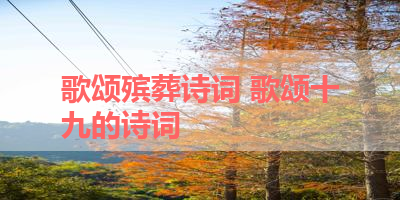 歌颂殡葬诗词 歌颂十九的诗词