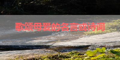 歌颂母爱的名言或诗词 