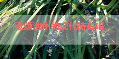 歌颂池州的现代诗有吗 