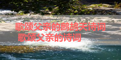 歌颂父亲的鹧鸪天诗词 歌颂父亲的诗词