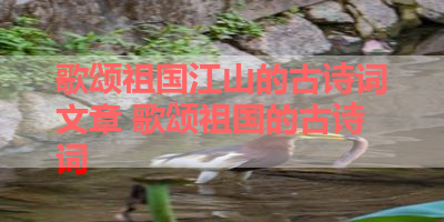 歌颂祖国江山的古诗词文章 歌颂祖国的古诗词