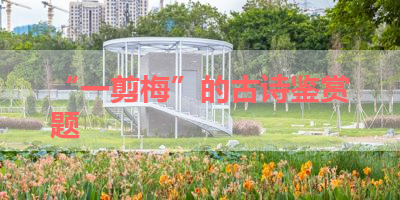 “一剪梅”的古诗鉴赏题 