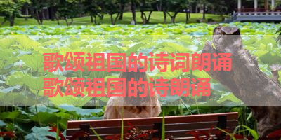 歌颂祖国的诗词朗诵 歌颂祖国的诗朗诵 