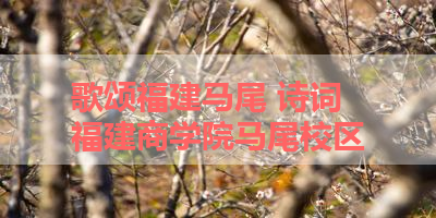 歌颂福建马尾 诗词 福建商学院马尾校区