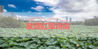 歌颂紅軍诗词 