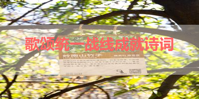 歌颂统一战线成就诗词 