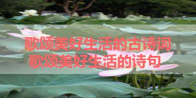 歌颂美好生活的古诗词 歌颂美好生活的诗句