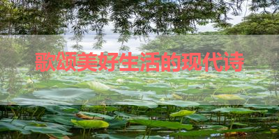 歌颂美好生活的现代诗 