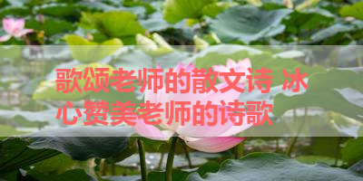 歌颂老师的散文诗 冰心赞美老师的诗歌