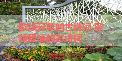 歌颂芳草的古诗词 歌颂爱情的古诗词
