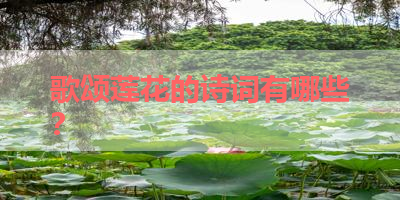 歌颂莲花的诗词有哪些？ 