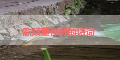 歌颂董仲舒的诗词 