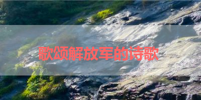 歌颂解放军的诗歌 