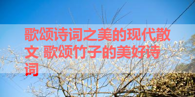 歌颂诗词之美的现代散文 歌颂竹子的美好诗词