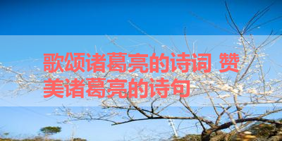 歌颂诸葛亮的诗词 赞美诸葛亮的诗句 