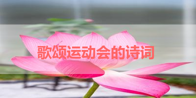 歌颂运动会的诗词 